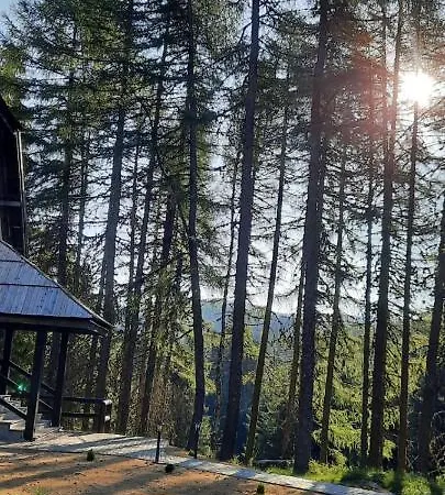 Apartment Sumska Kuca 1 Kopaonik