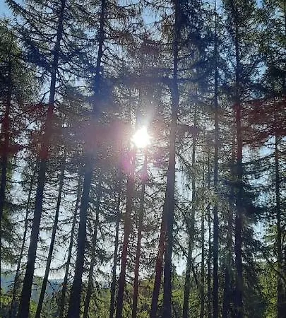 Apartment Sumska Kuca 1 *