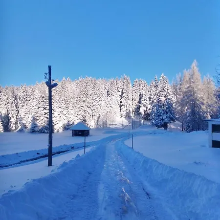 Sumska Kuca 1 * קופאוניק