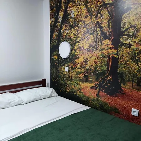 Apartment Sumska Kuca 1 Kopaonik