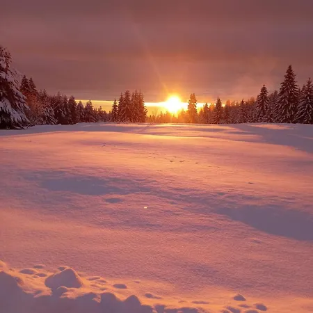 Apartment Sumska Kuca 1