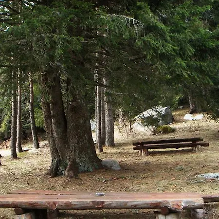 Sumska Kuca 1