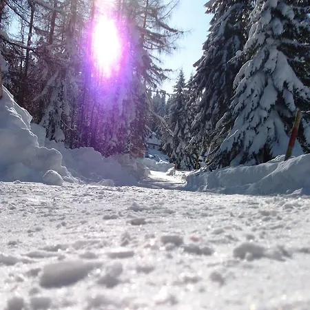 Apartment Sumska Kuca 1