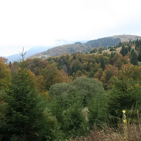 Sumska Kuca 1