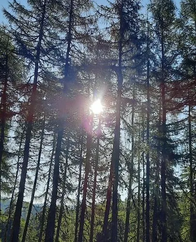 Apartamento Sumska Kuca 1 *