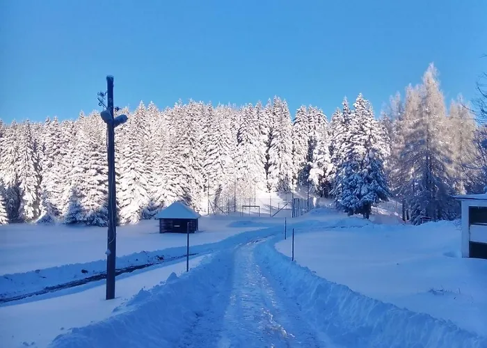 Sumska Kuca 1 * Kopaonik
