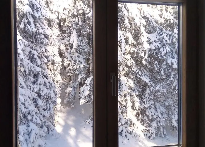 Sumska Kuca 1 Kopaonik