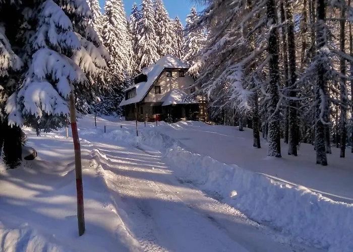 Sumska Kuca 1 * Kopaonik