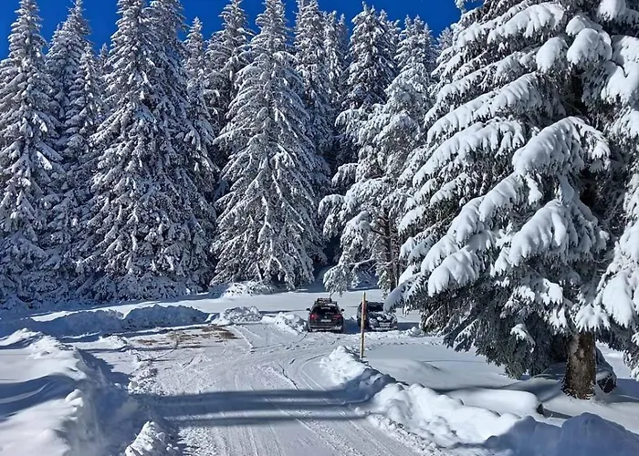 Sumska Kuca 1 Apartamento *