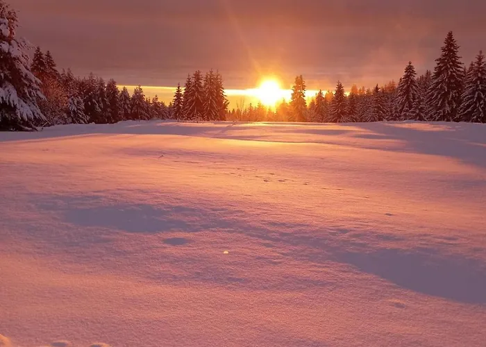 Apartamento Sumska Kuca 1