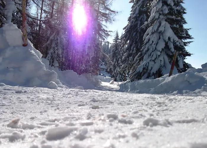 Apartamento Sumska Kuca 1